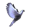 dove.gif (30176 bytes)